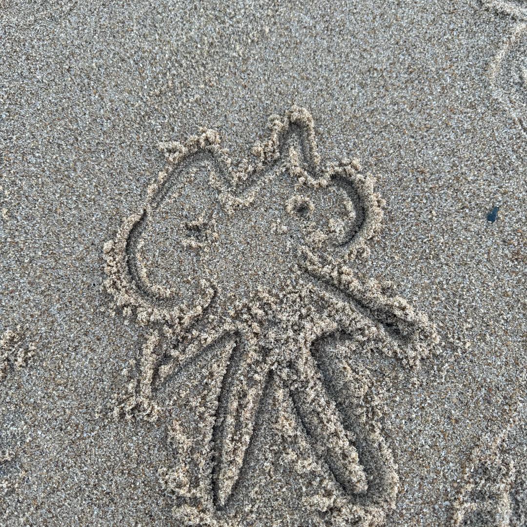 狐狸🦊