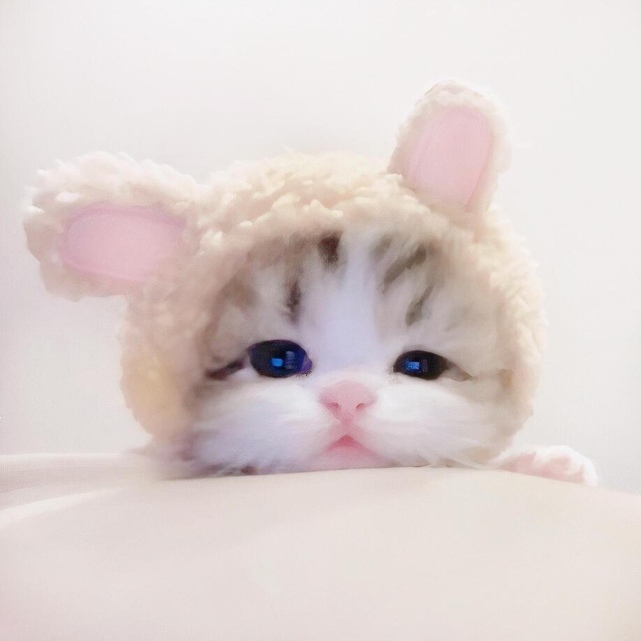 小晴丸