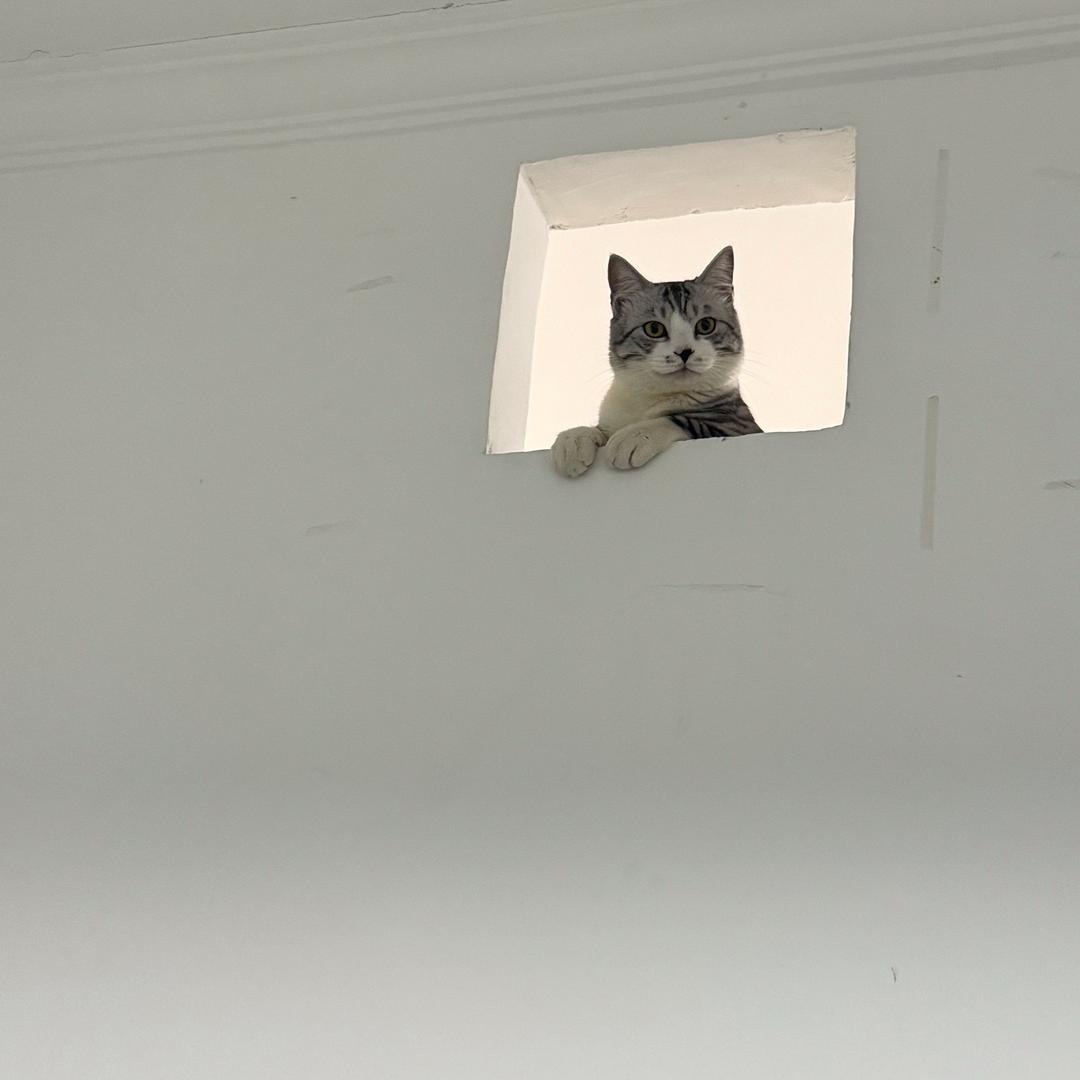 冯世源小懂美味餐饮店