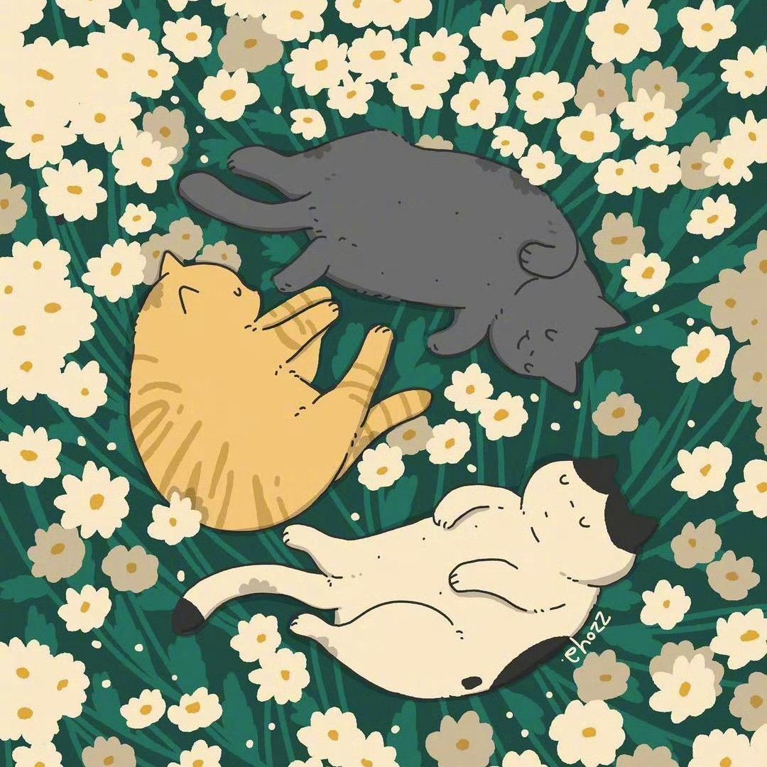 🌻-
