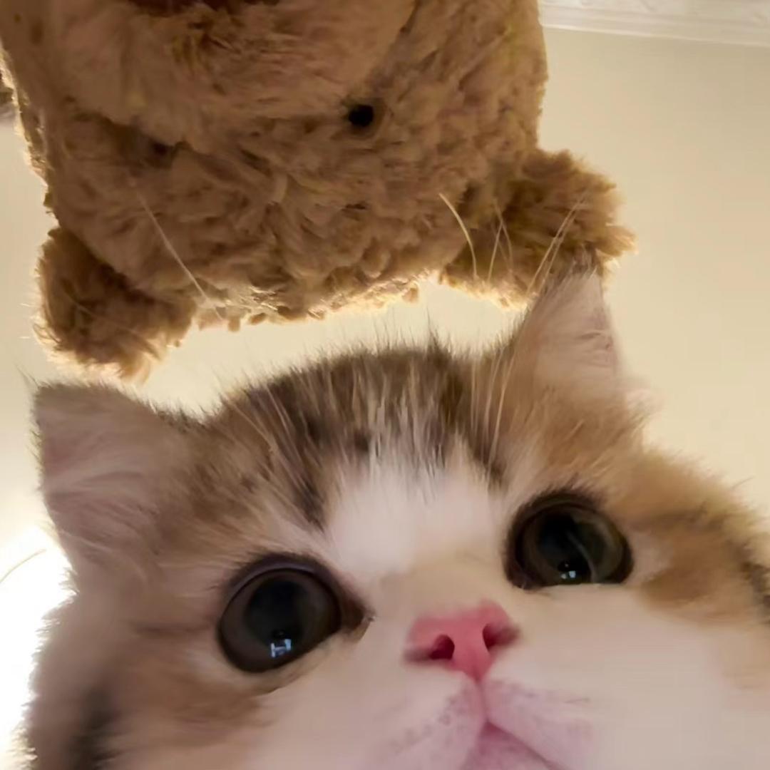 ￴￴ ￴￴￴ ￴粥粥^