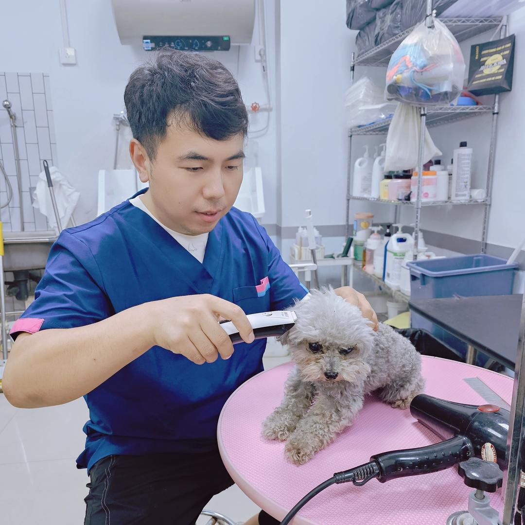 老六的养宠日记