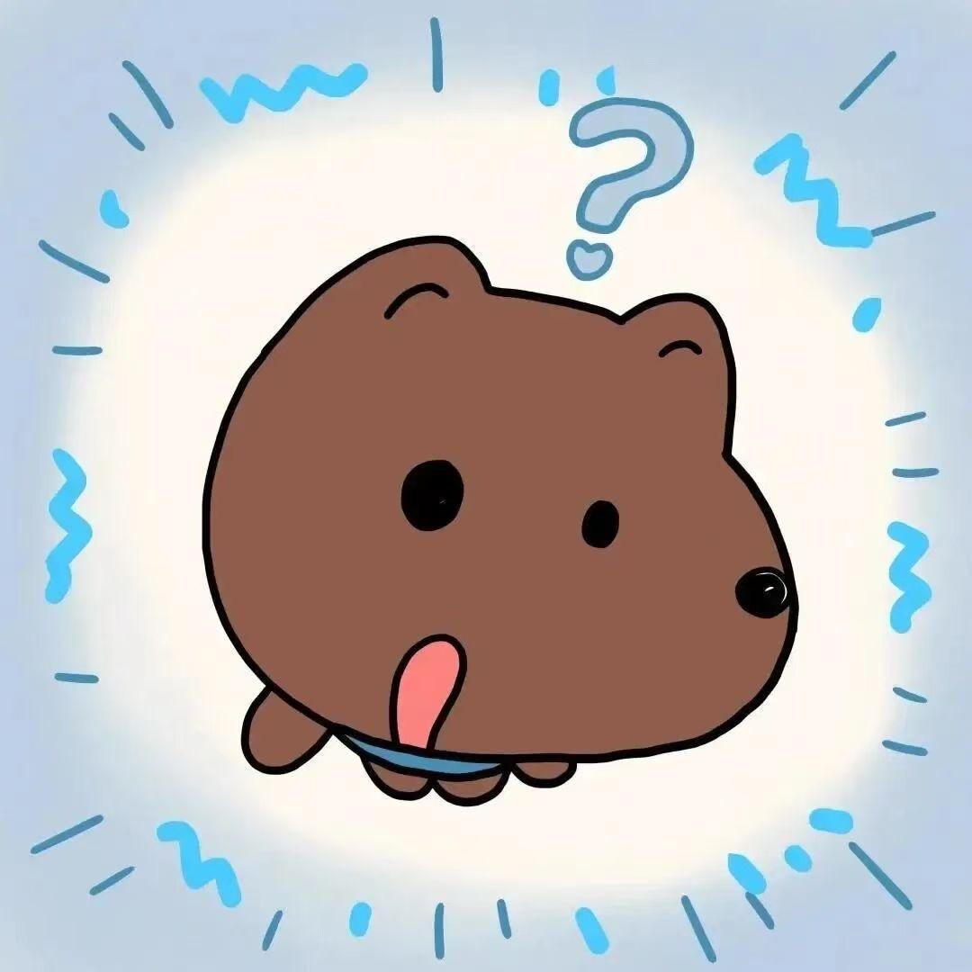 今天有喝o泡