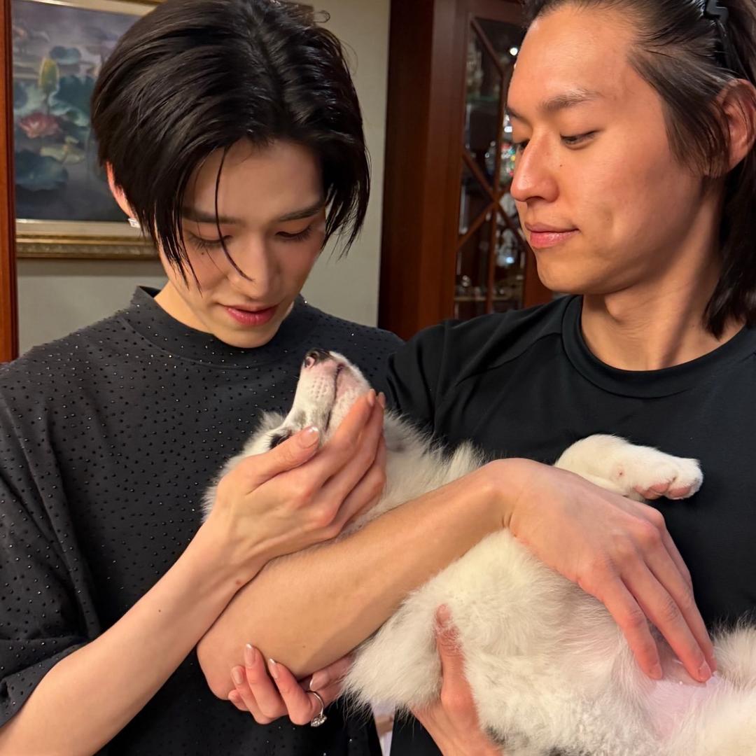 暧昧绿洲