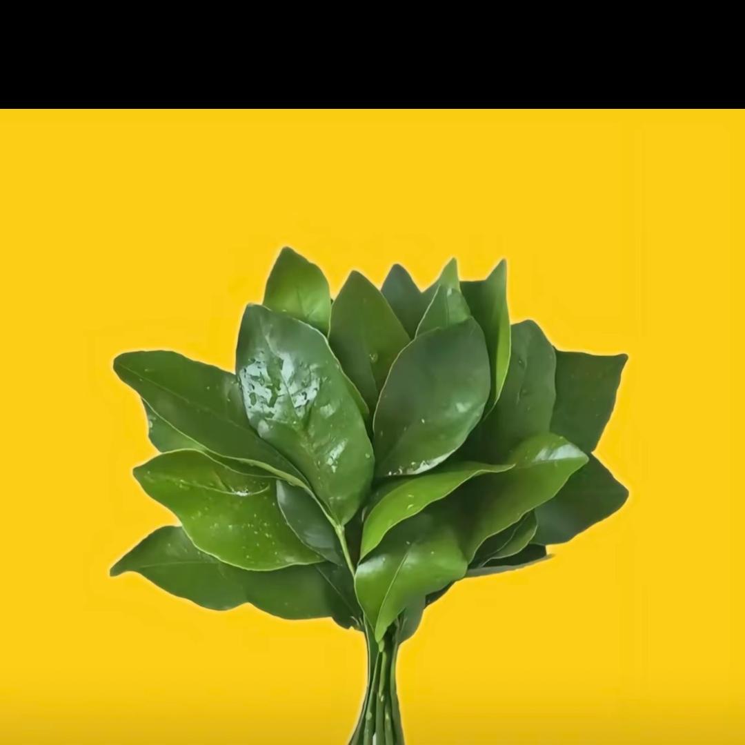 記得说情話