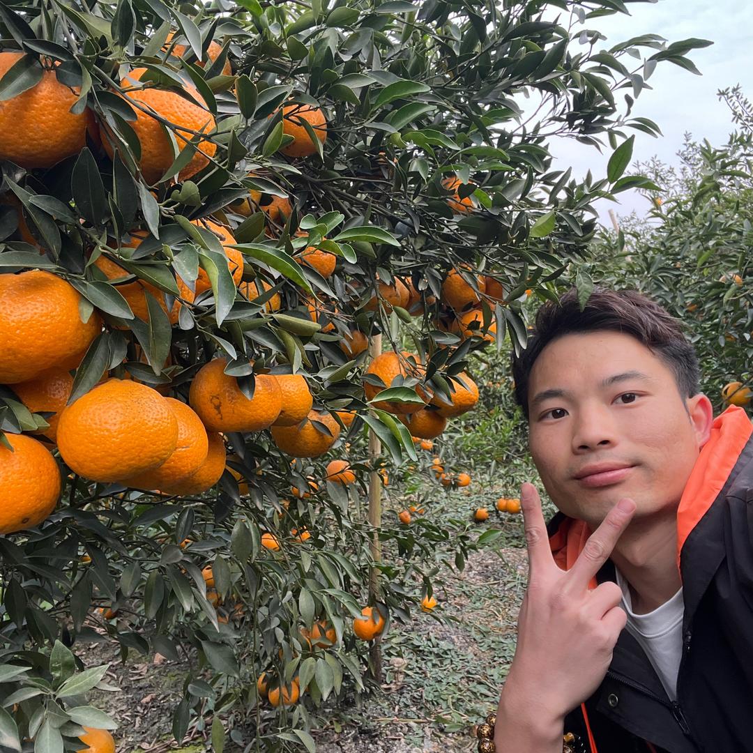 曾老师 新会陈皮（福皮来）