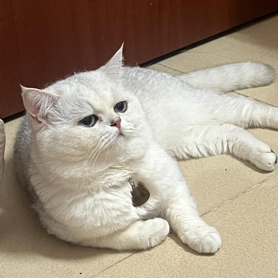 海底的星河·