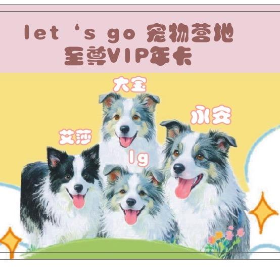 渭南let’s go宠物营地