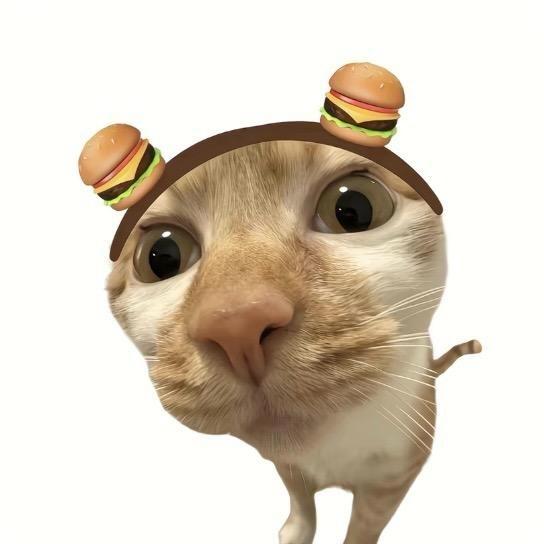 春que（无畏契约）