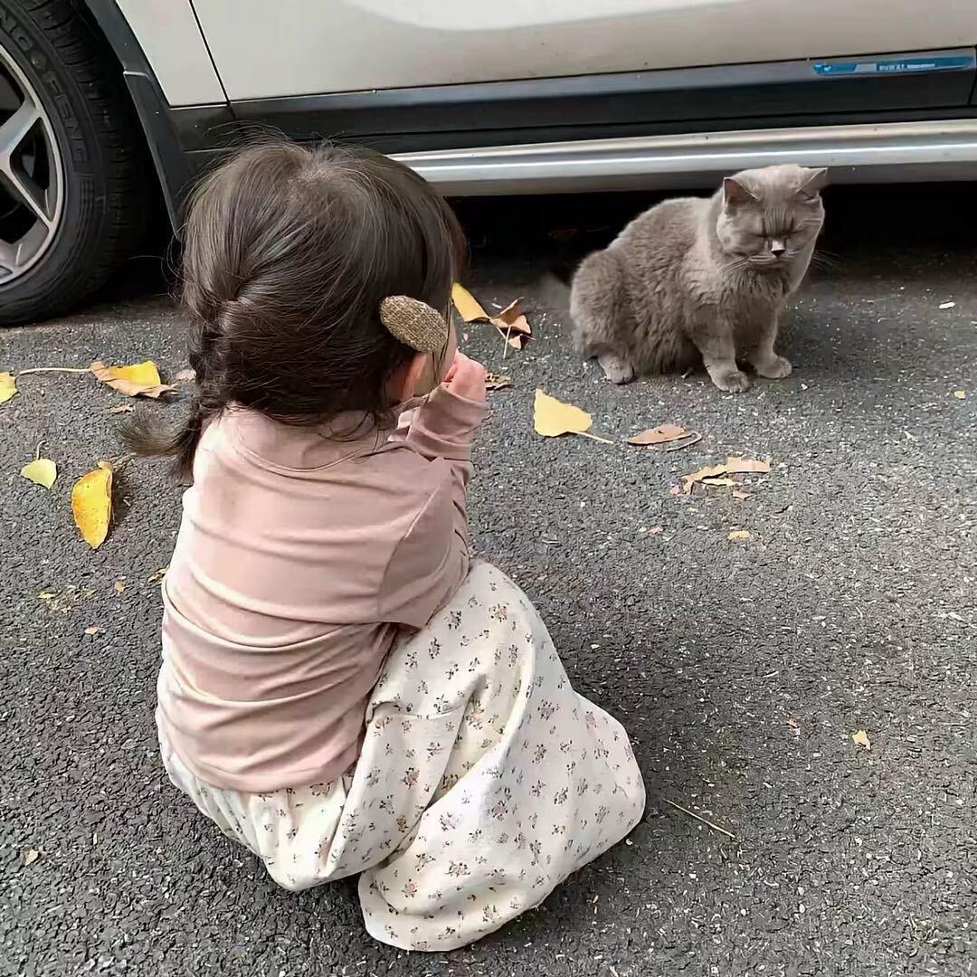 小君的努力日记