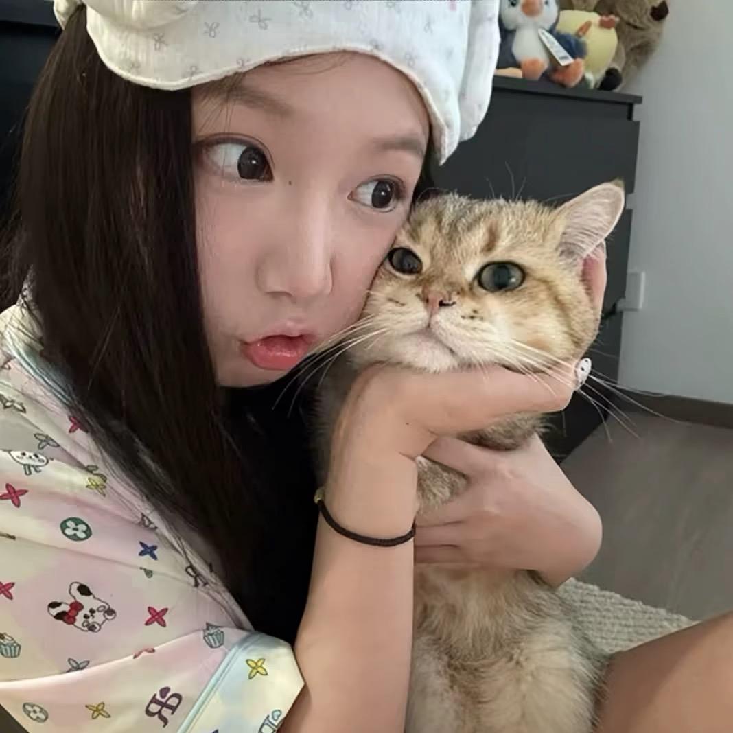 晚安gui
