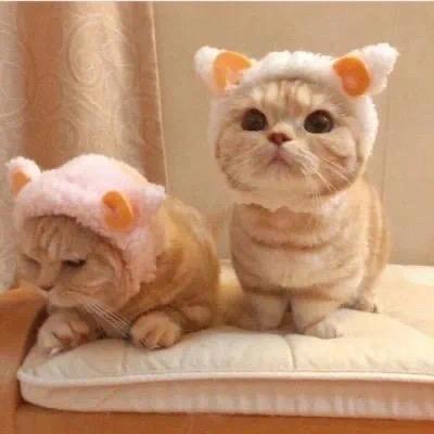 法法发