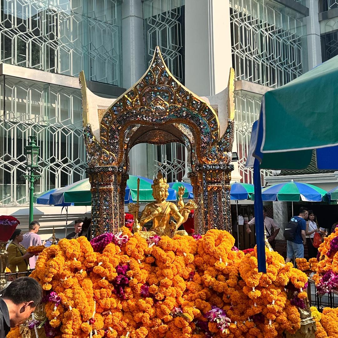 杨家将 白武士金融💰物流垫资