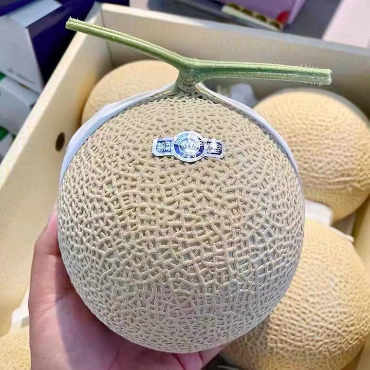 油纸伞
