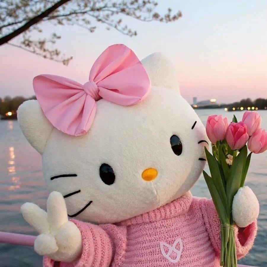 小丸纸🎀