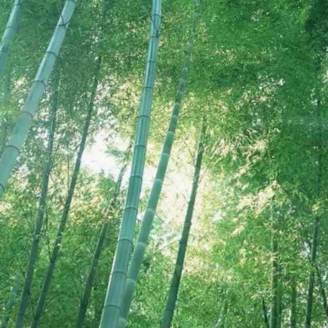 与梦同行