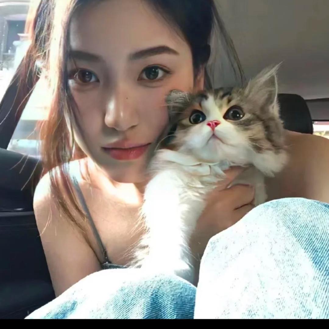 蓝.的猫