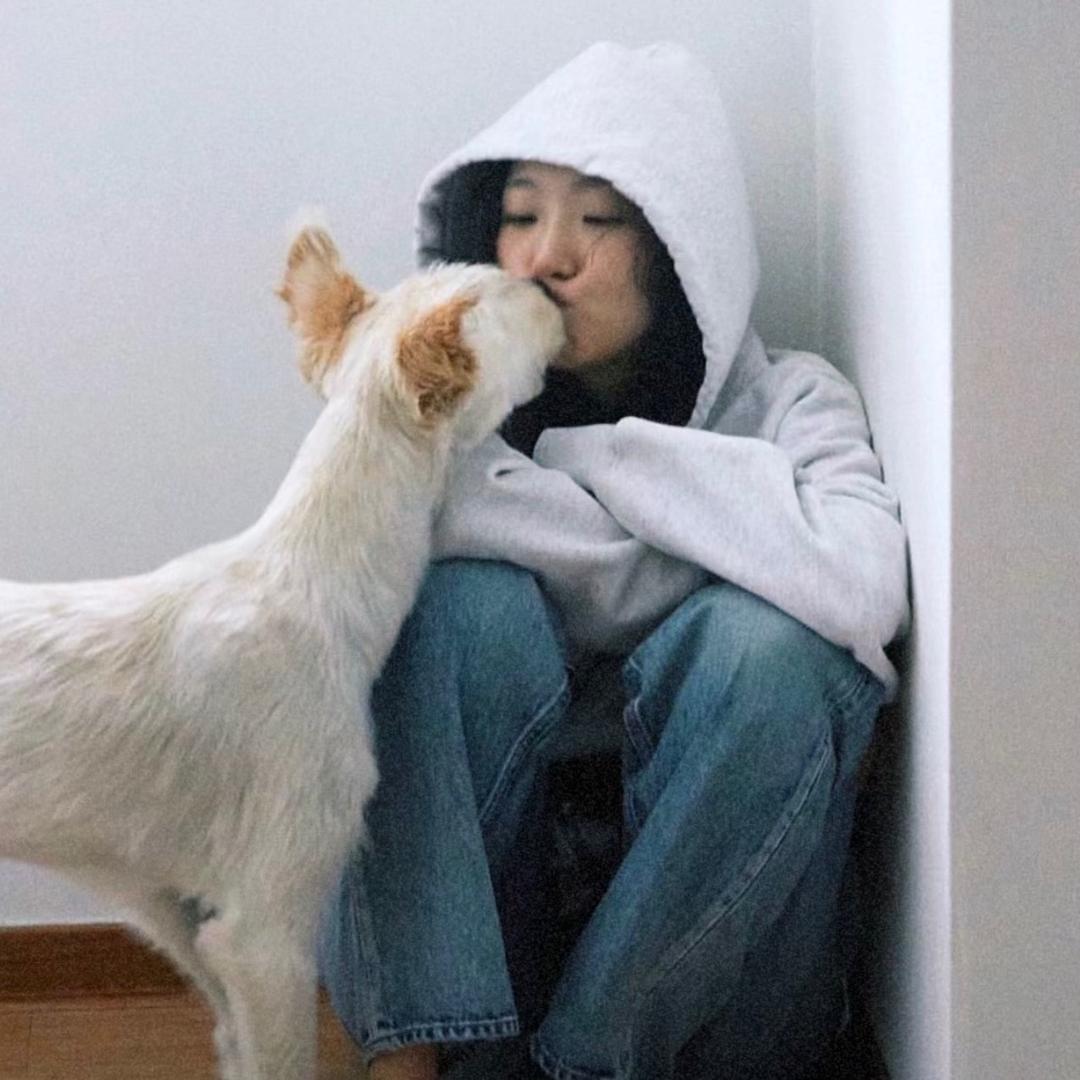八爪鱼王.