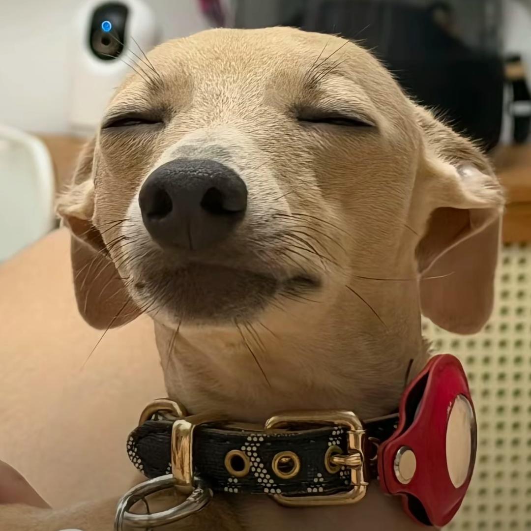Dduo