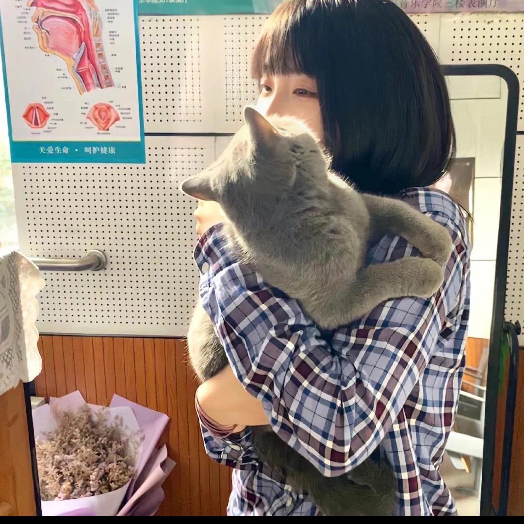 青菜