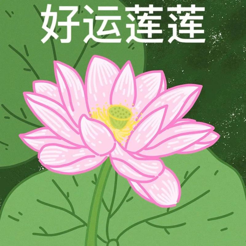 热爱生活