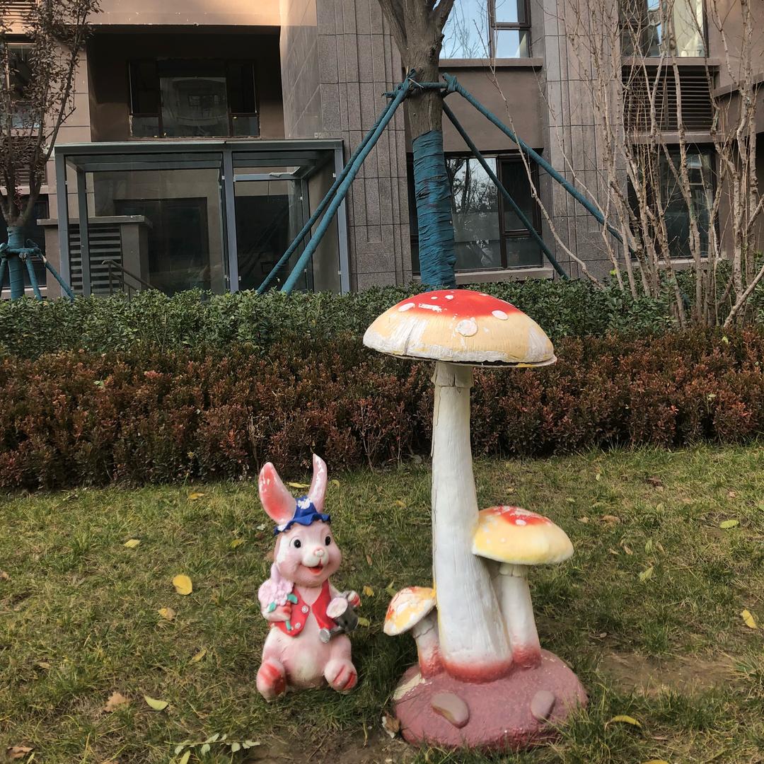 花儿为什么这样红C