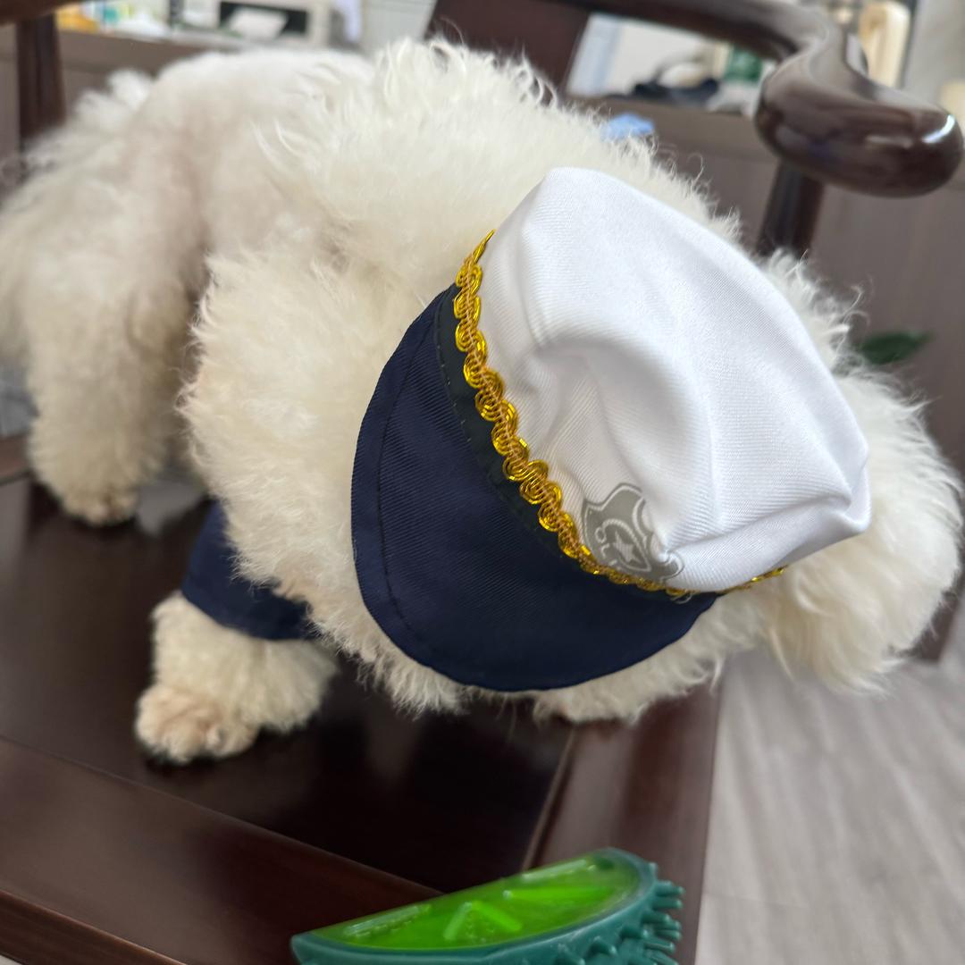 小伟选好货