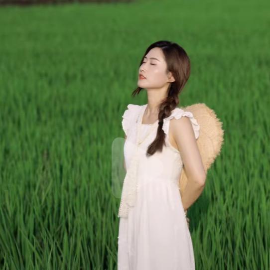 美丽佳佳