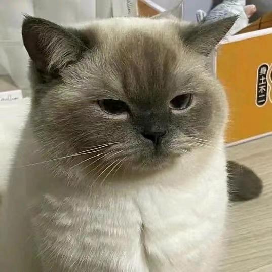 阿巴阿巴