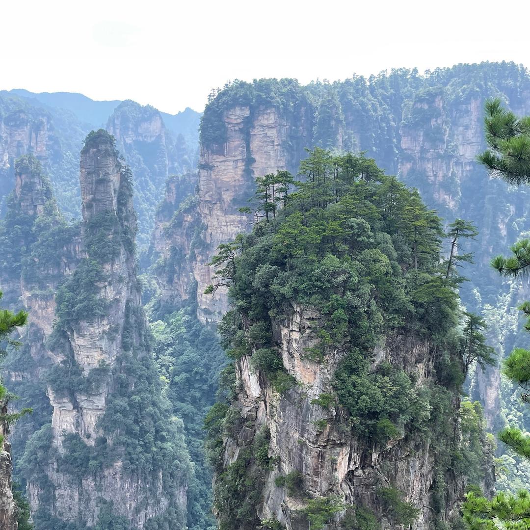 用户5368882912
