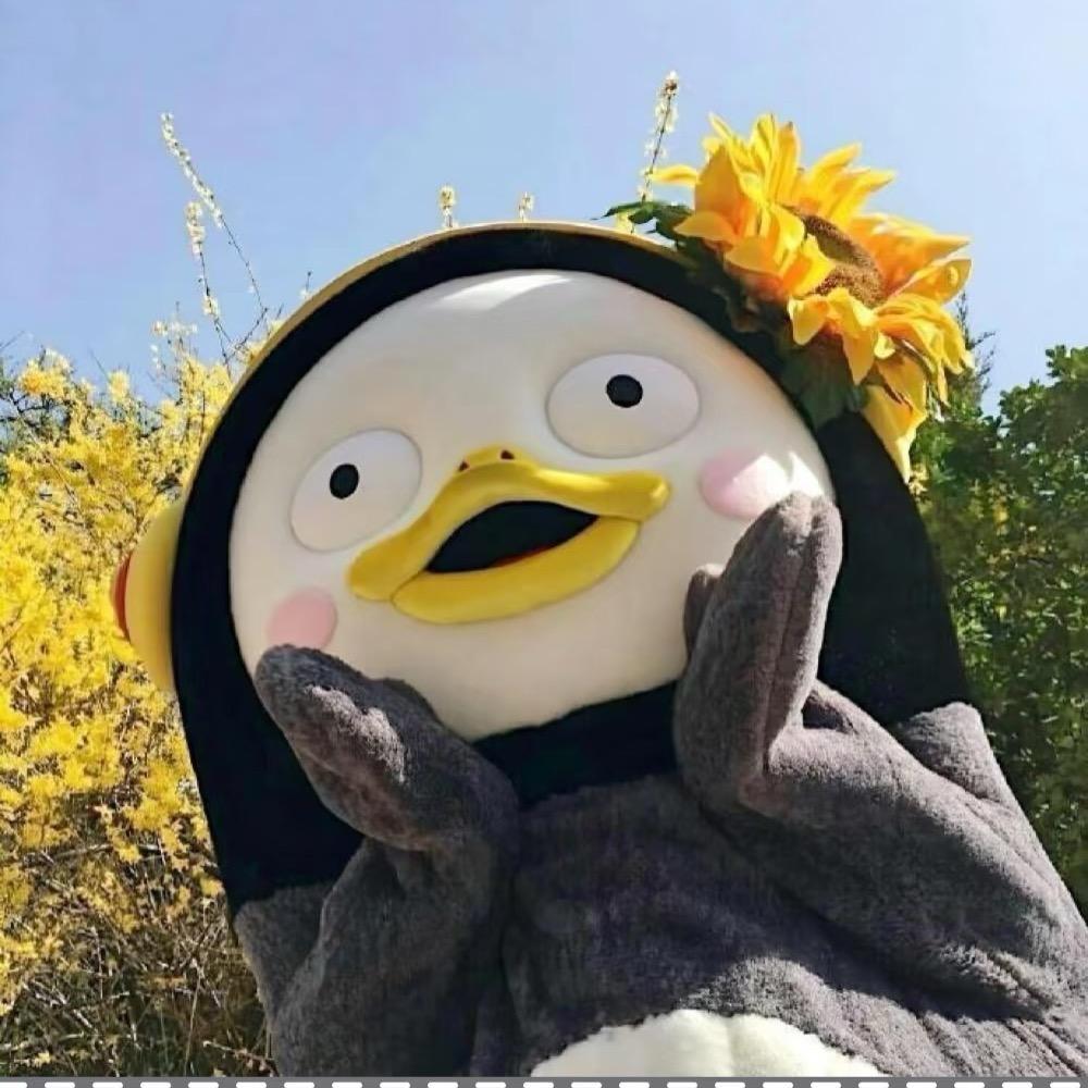 村长头上的聪明草🌱