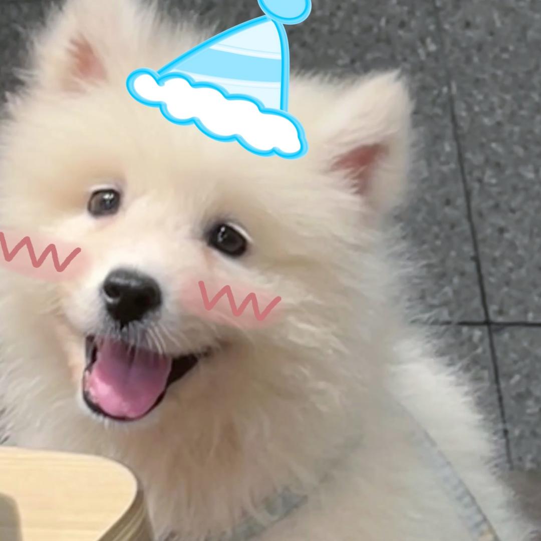 一条小咸鱼˃ʍ˂