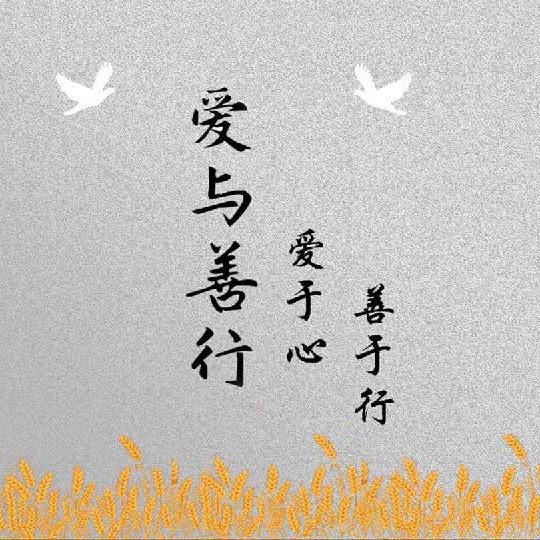 爱与善行