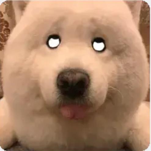 青山在