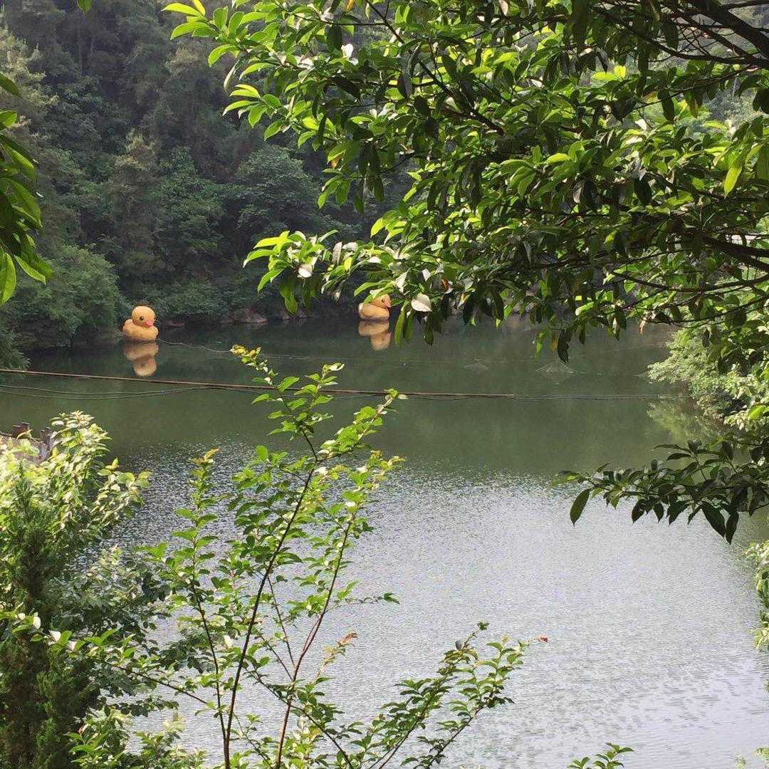 得梦为余