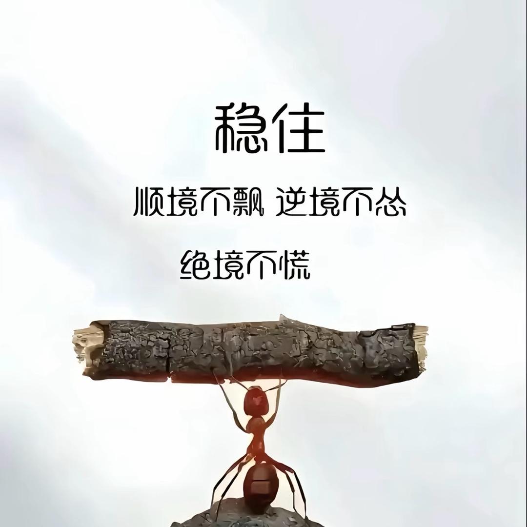 · ﹏ 小老头。