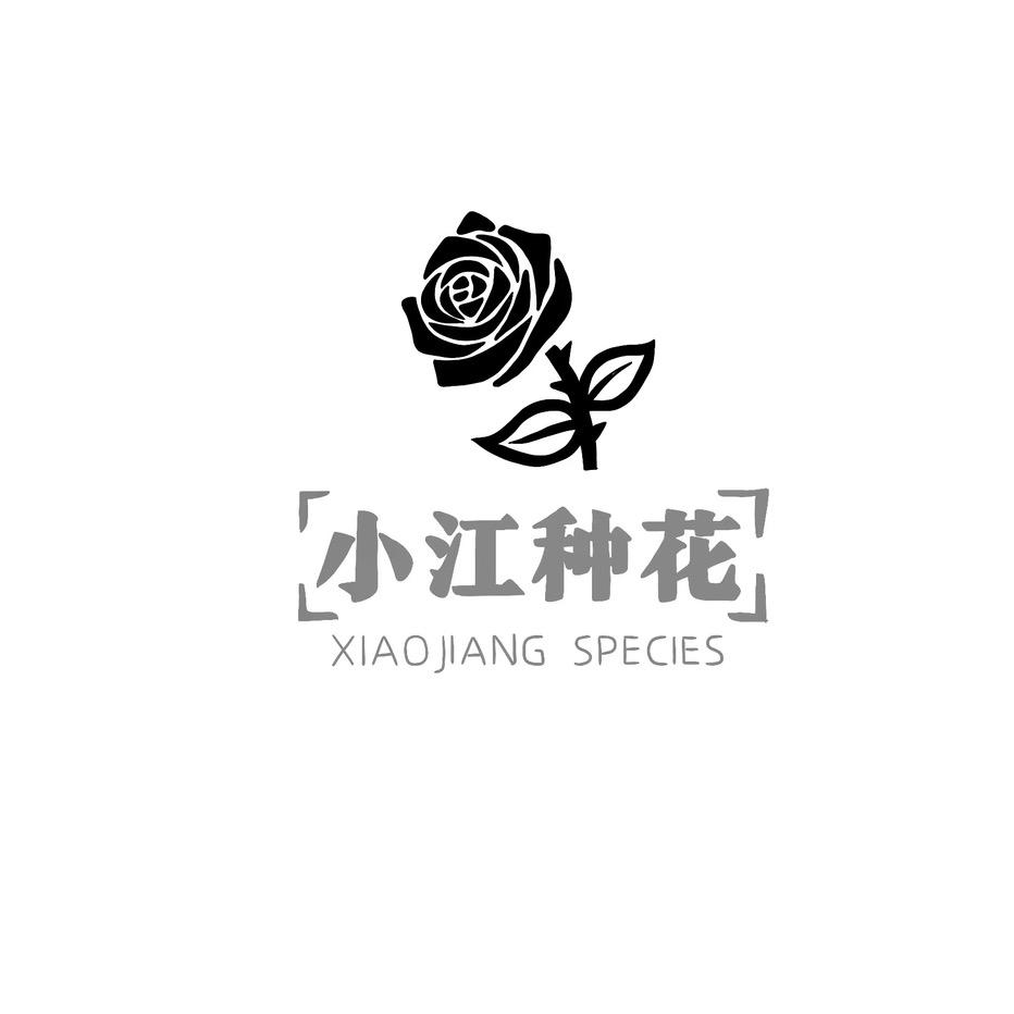 小江种花