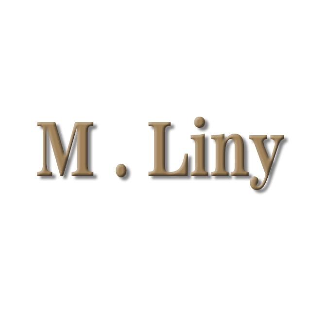 M.Liny 轻奢饰品