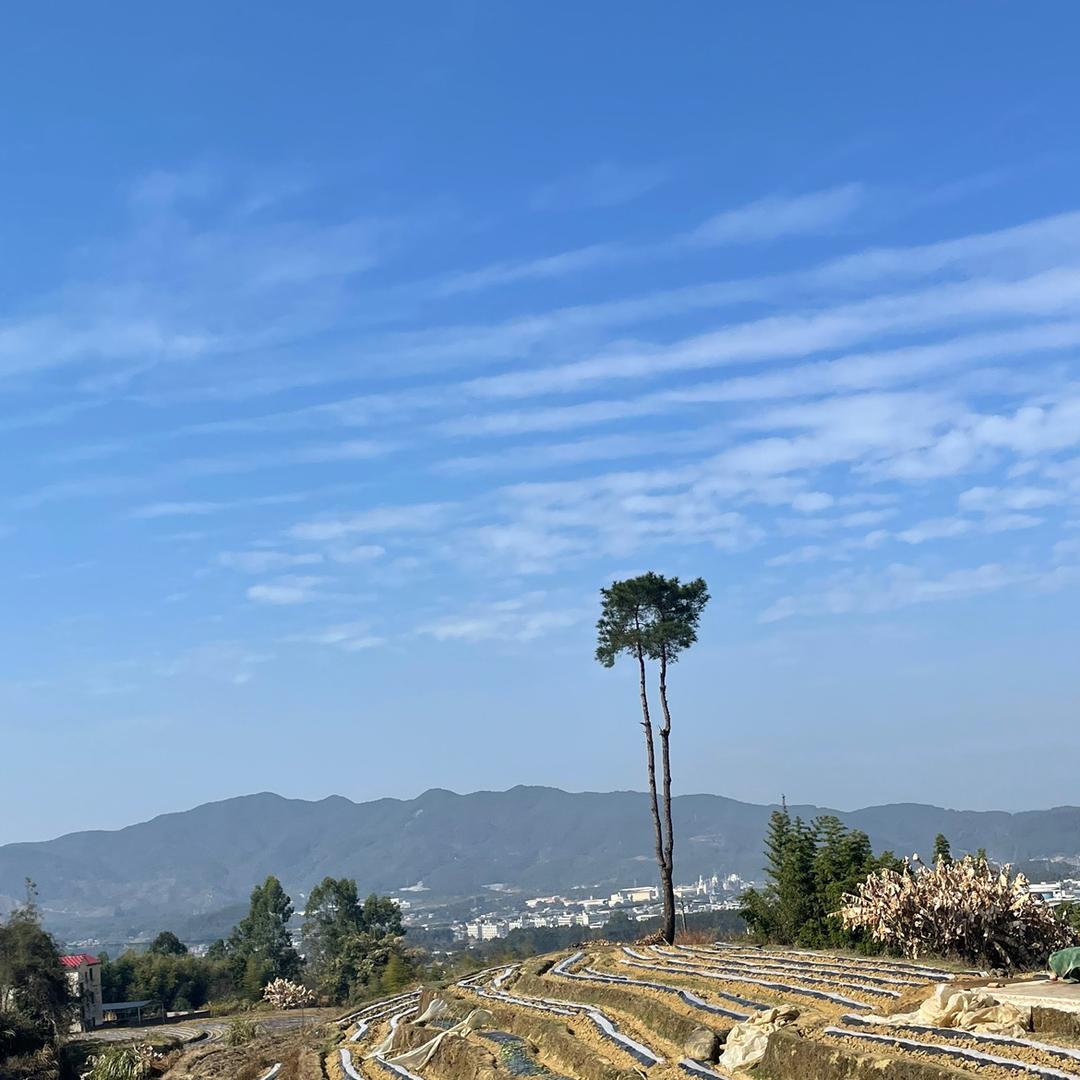 螺蛳粉的罗