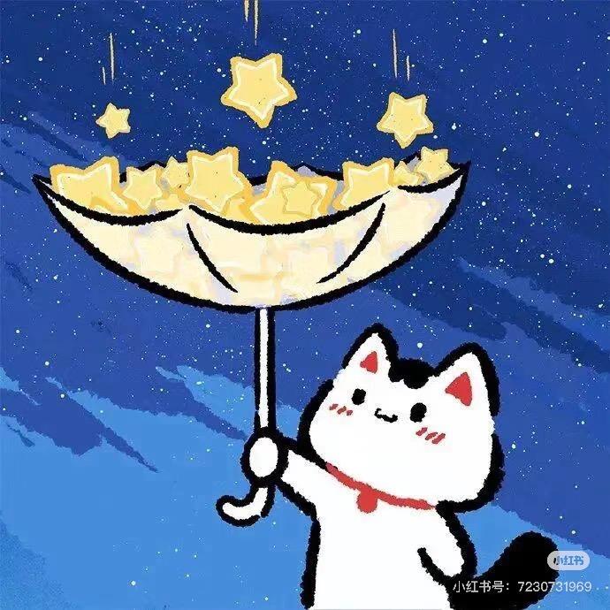 星光灿烂里