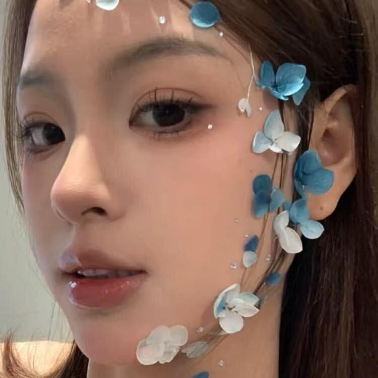 xxc