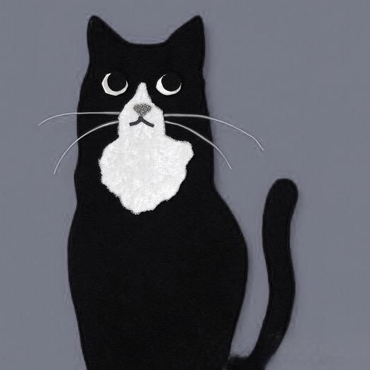猫猫影视