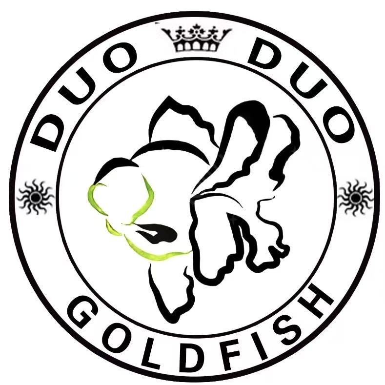 多多原泰金鱼（直播号）