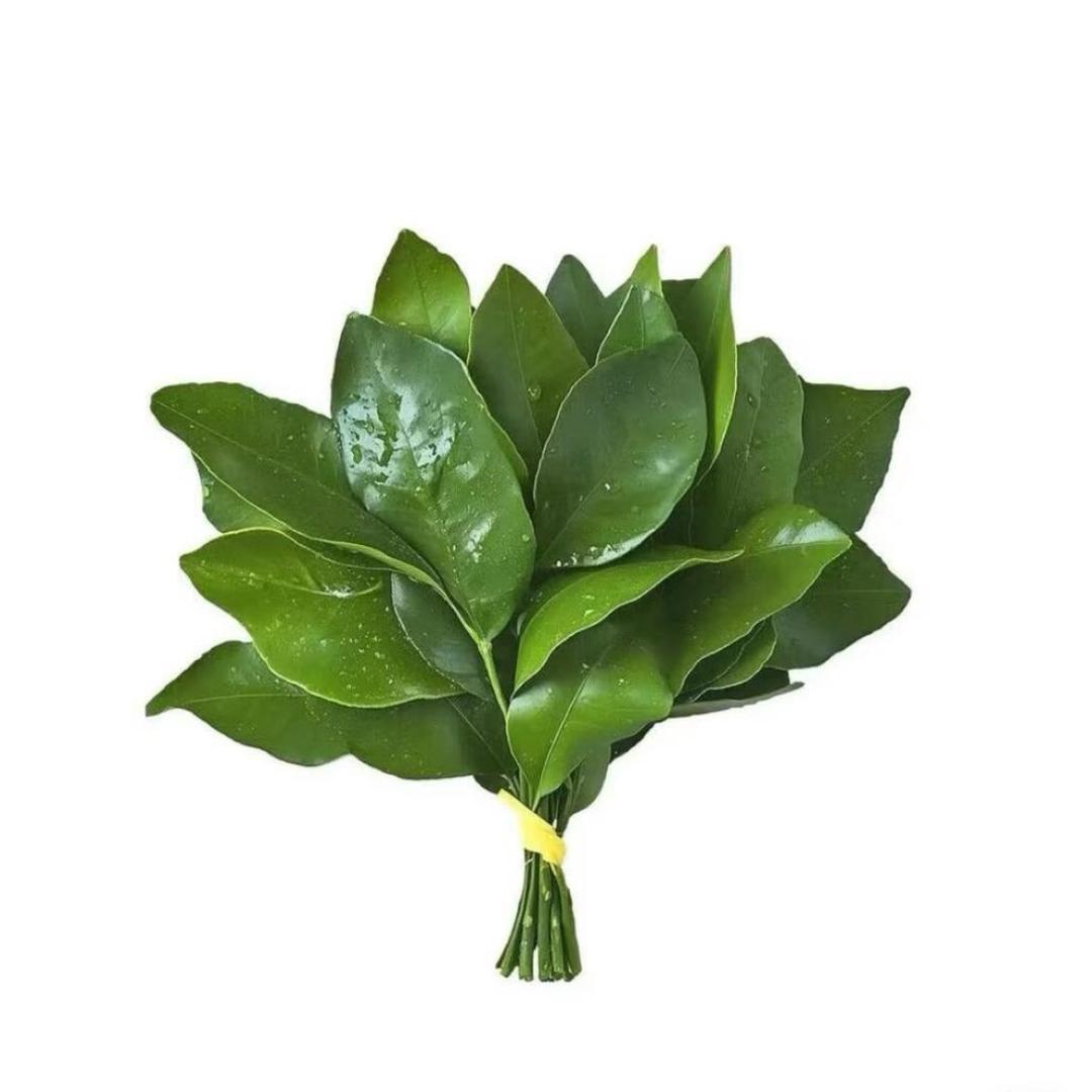 丹丹🍡（好物分享）