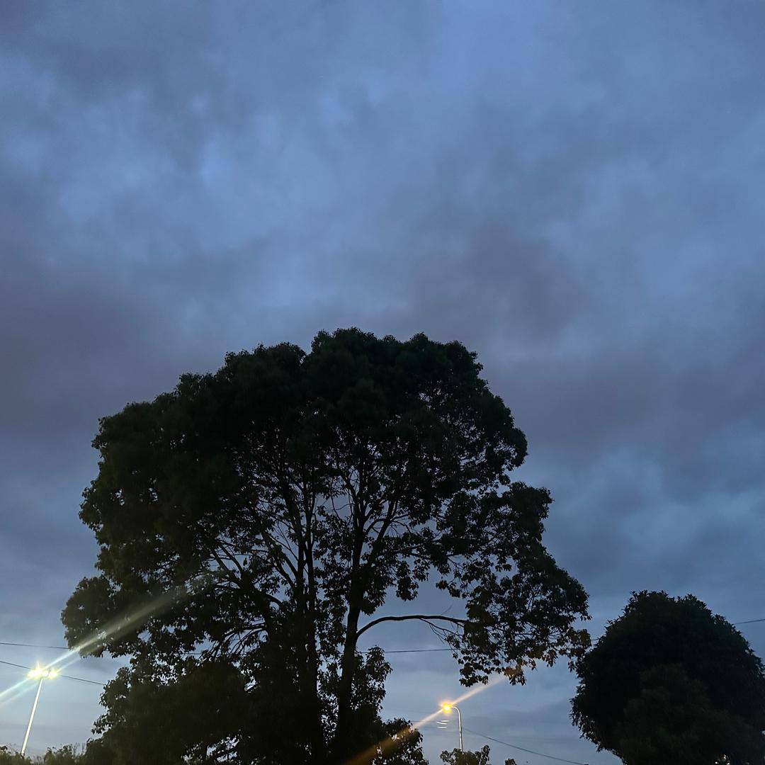 我的梦想是钻石