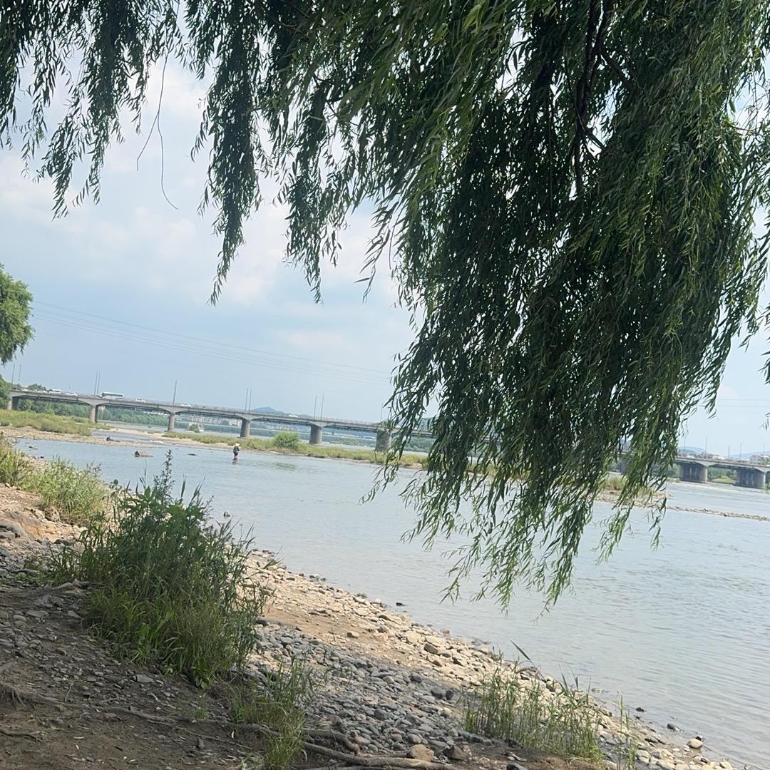 大海🌊