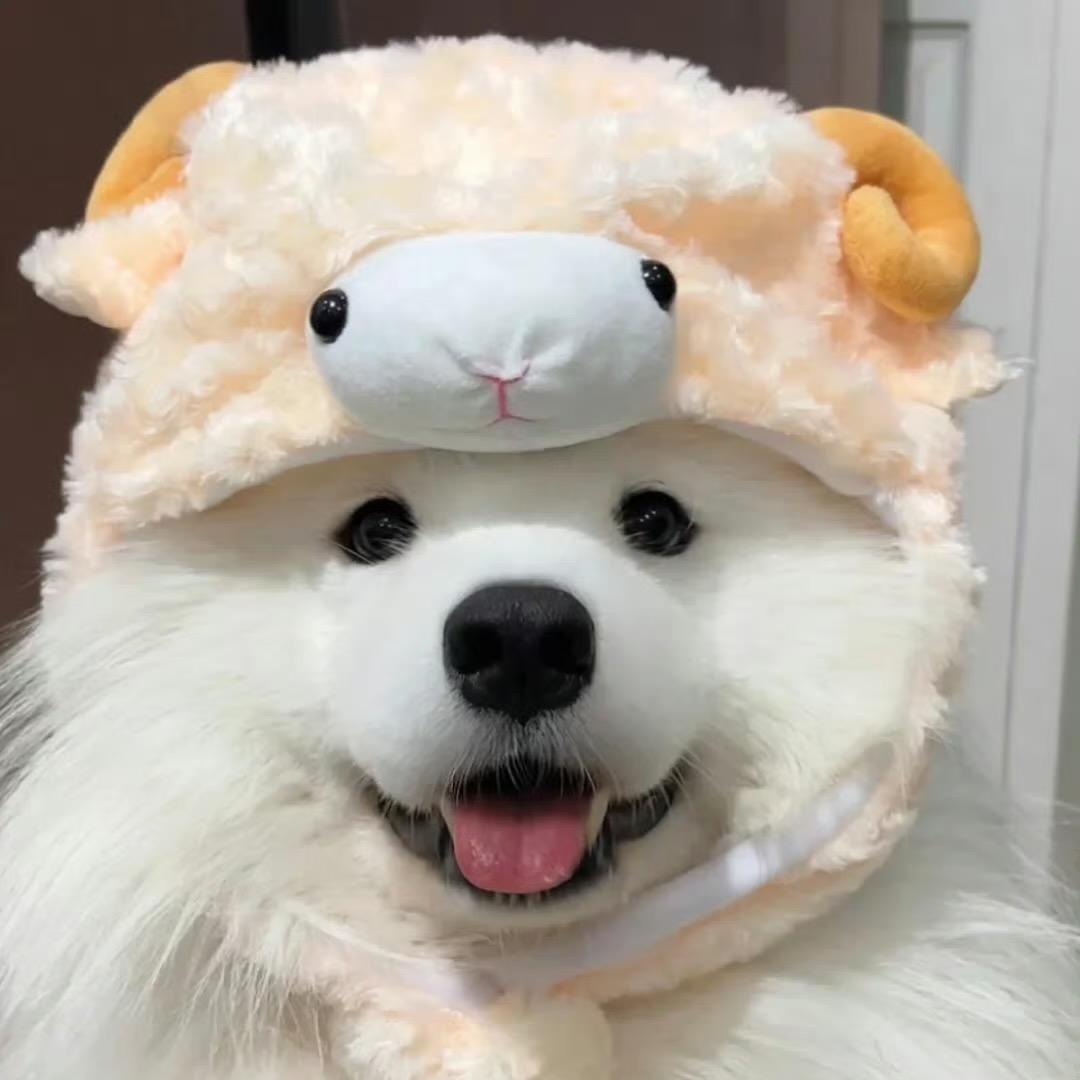 成成拆袋