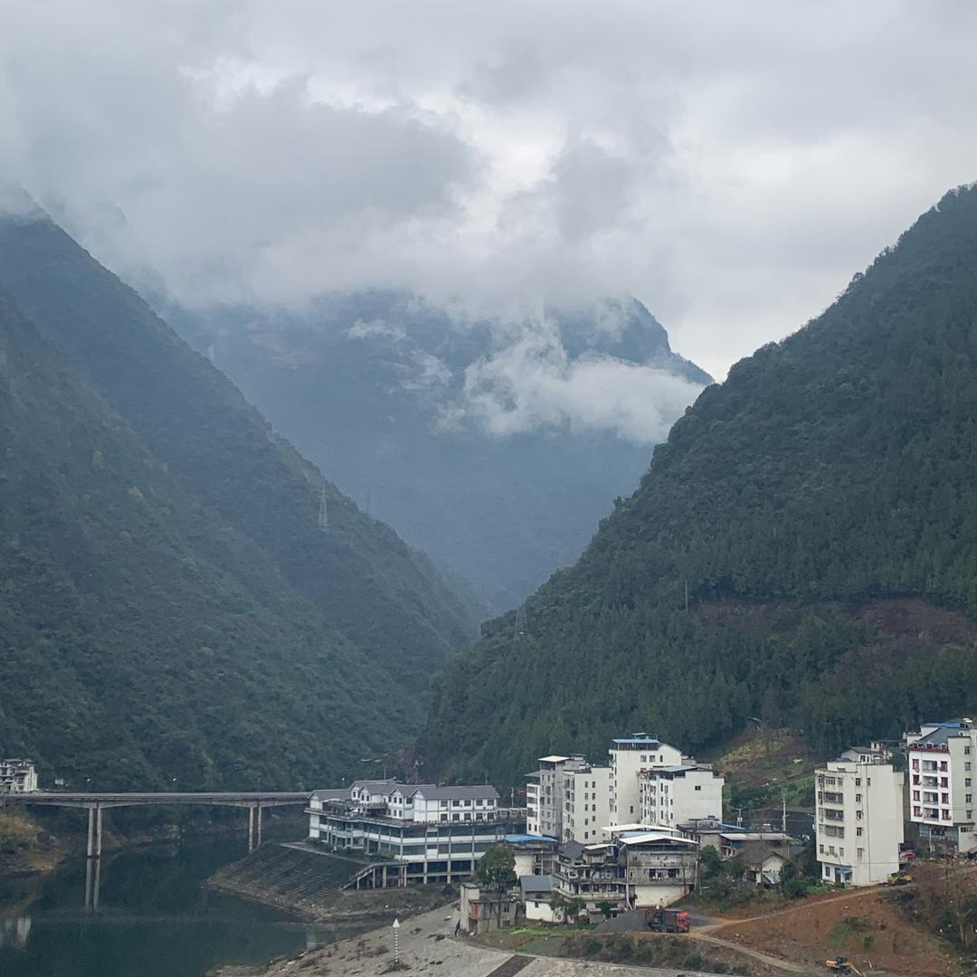晨青煌