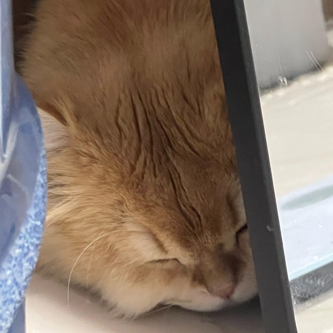 𝒀𝒎.周四/歌牌