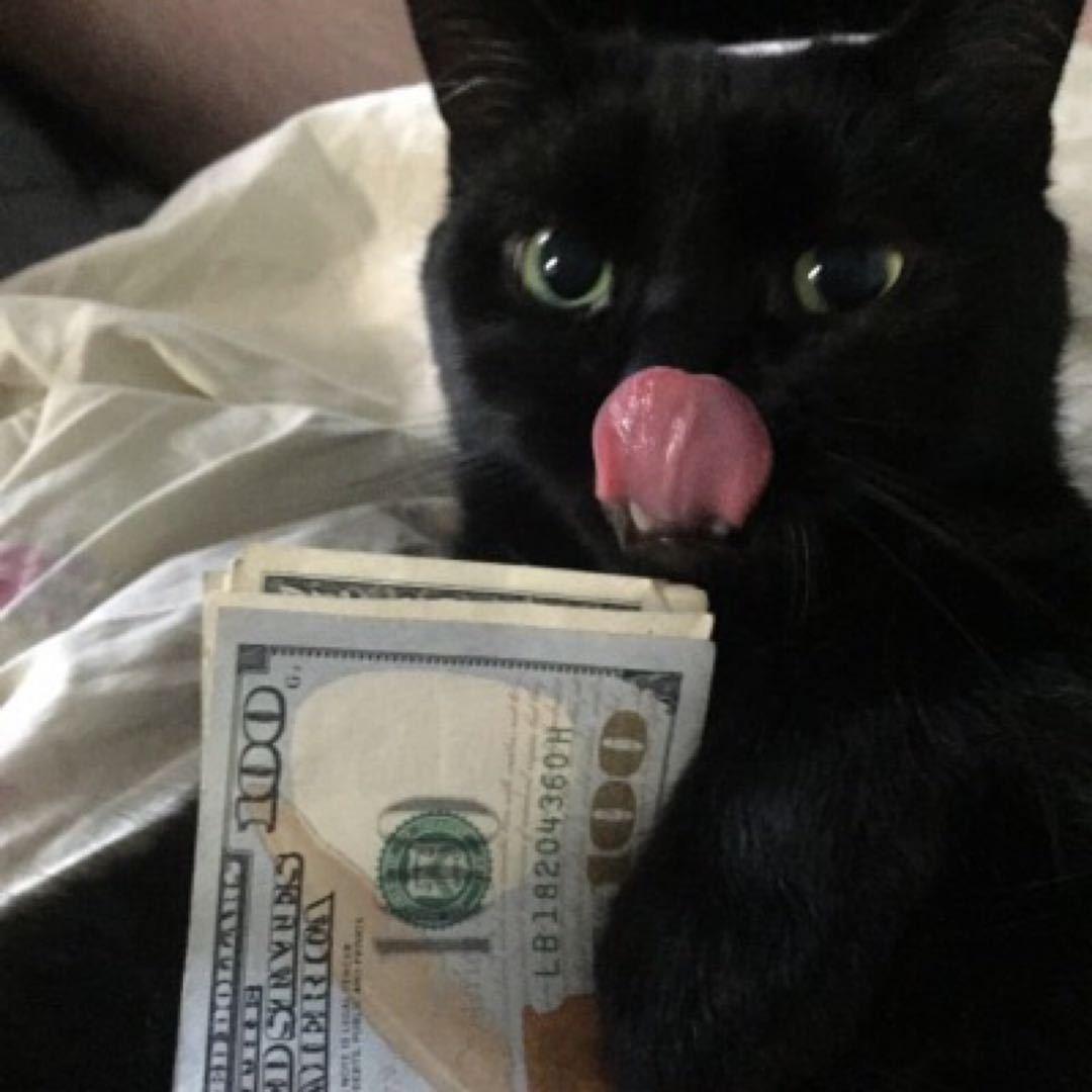 昊仔（男装质检员）